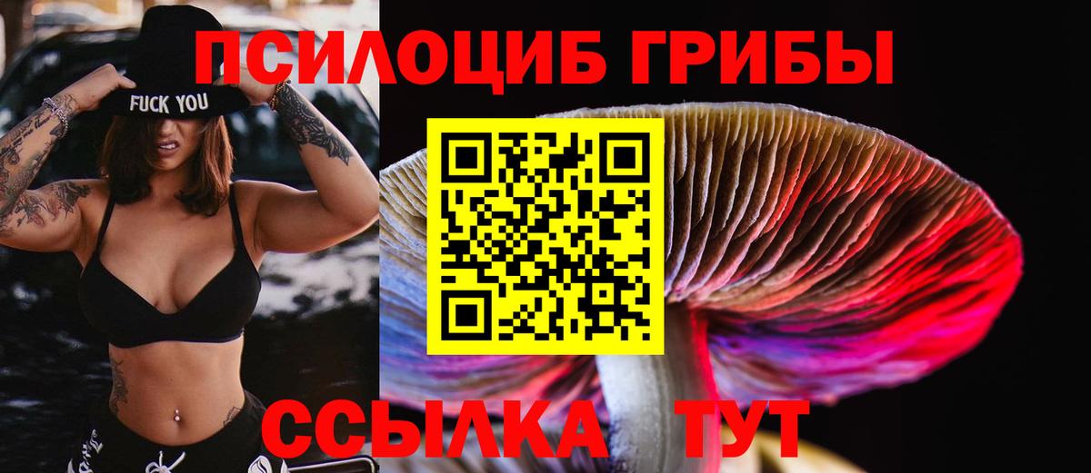 Псилоцибиновые грибы GOLDEN TEACHER Ивантеевка