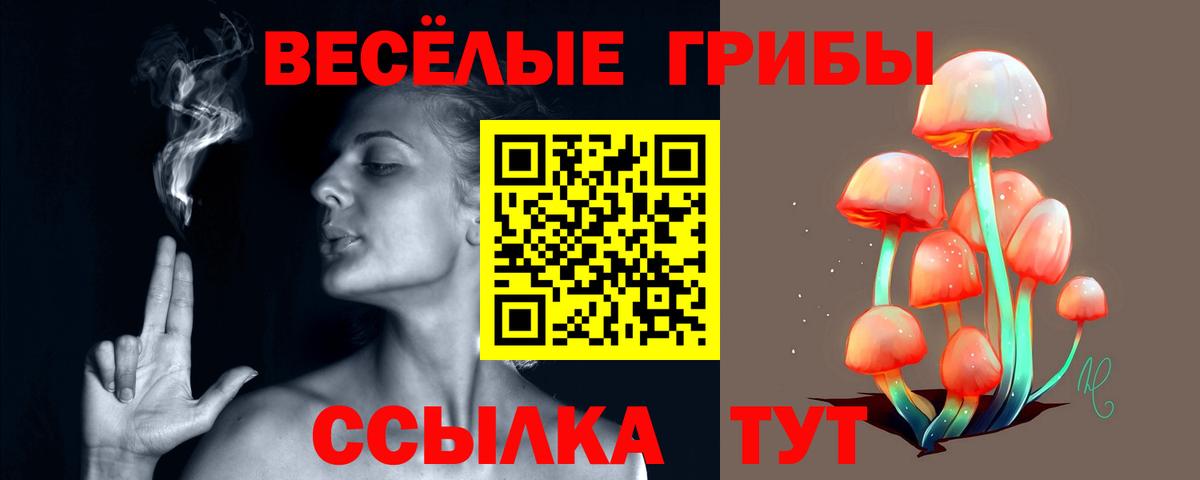 Галлюциногенные грибы мицелий  Вход с VPN  Ивантеевка 